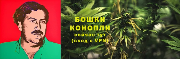 трава Кодинск
