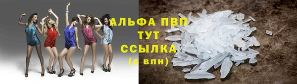 трава Кодинск