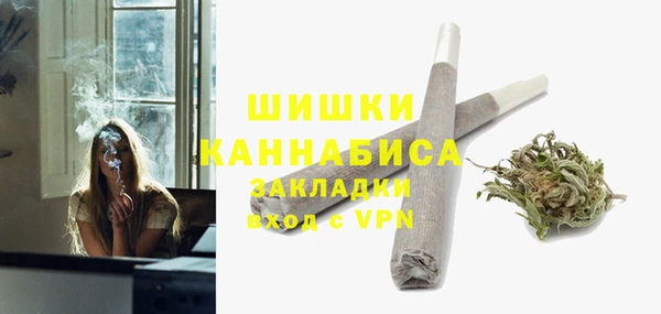 сатива Костерёво