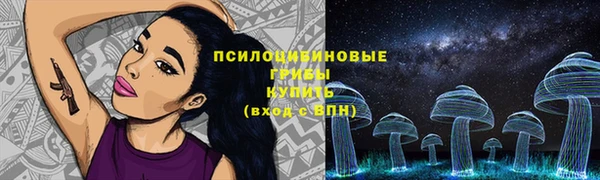 дмт Козловка