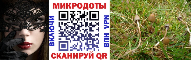 Галлюциногенные грибы Psilocybine cubensis  дарнет шоп  МЕГА онион  Приволжский 