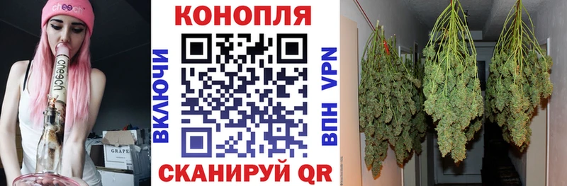 Бошки Шишки марихуана Приволжский